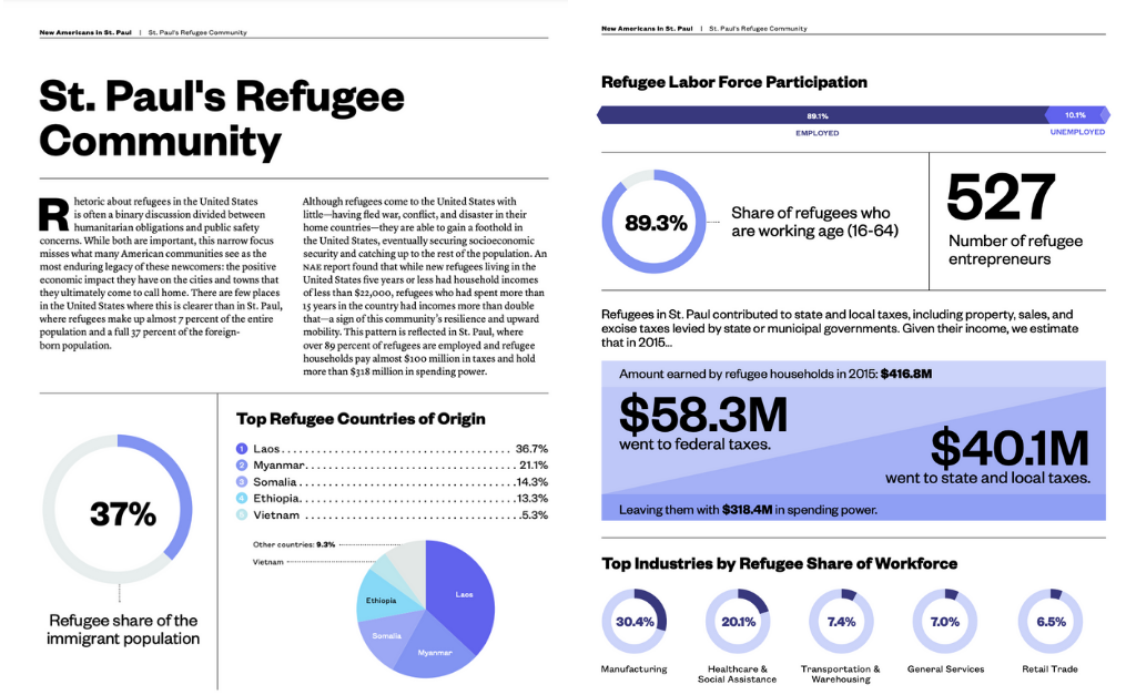 NAE St. Paul Immigrant Community story and statistics visualized