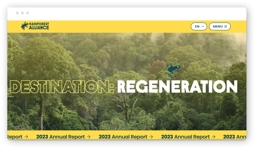 Rainforest Alliance annual report